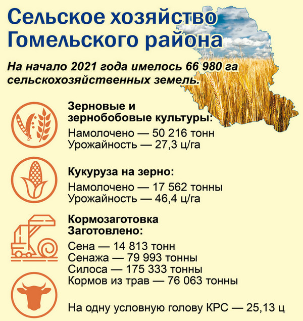 46470-888.jpg
