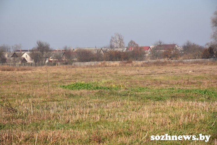 DSC_2-00918_1.JPG