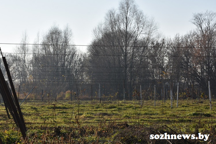 DSC_2-00918_6.JPG