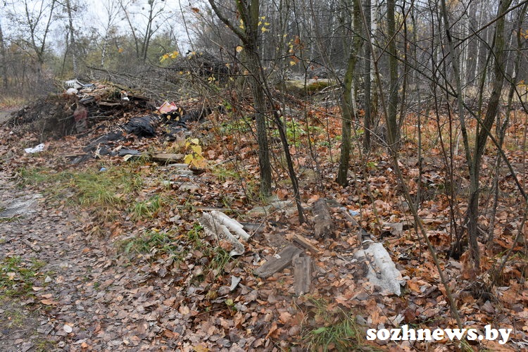 DSC_2777768.JPG