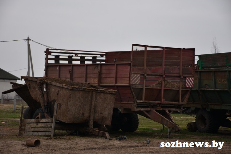 DSC_644370.JPG