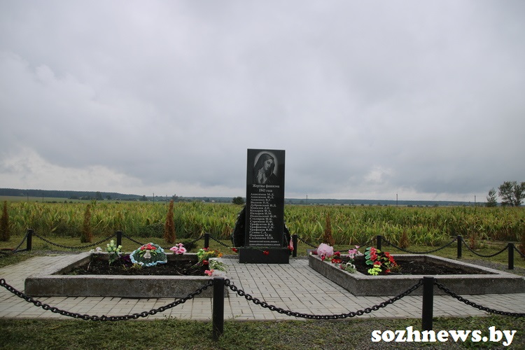 IMG881726_11.JPG