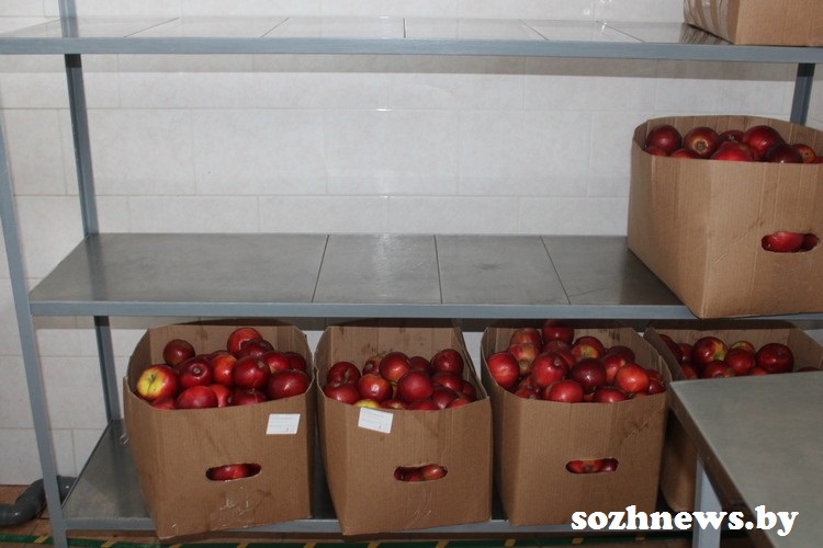 IMG_-000001_1.JPG