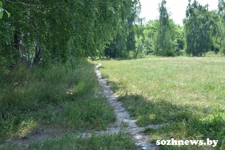stadionz8.JPG