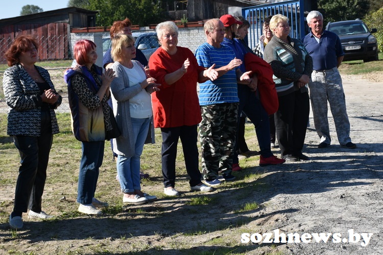 vd7.jpg