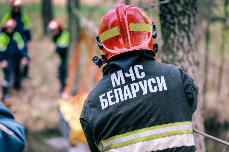 В деревне Рудня Телешовская Гомельского района произошел пожар