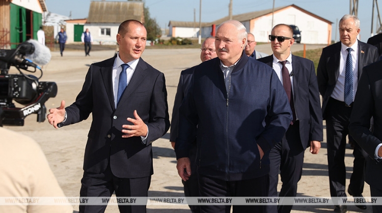 Лукашенко показали идеальный молочно-товарный комплекс. В чем его секрет?