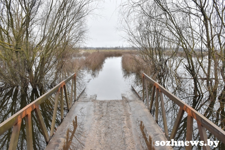 В Терешковичском сельсовете из-за подъема уровня воды в реке Уть подтопленным оказался участок дороги к  СТ «Забочь»