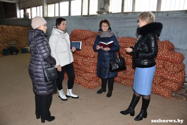 Запас карман не тянет: в Гомельском районе проверили стабилизационный фонд КСУП "Тепличное"