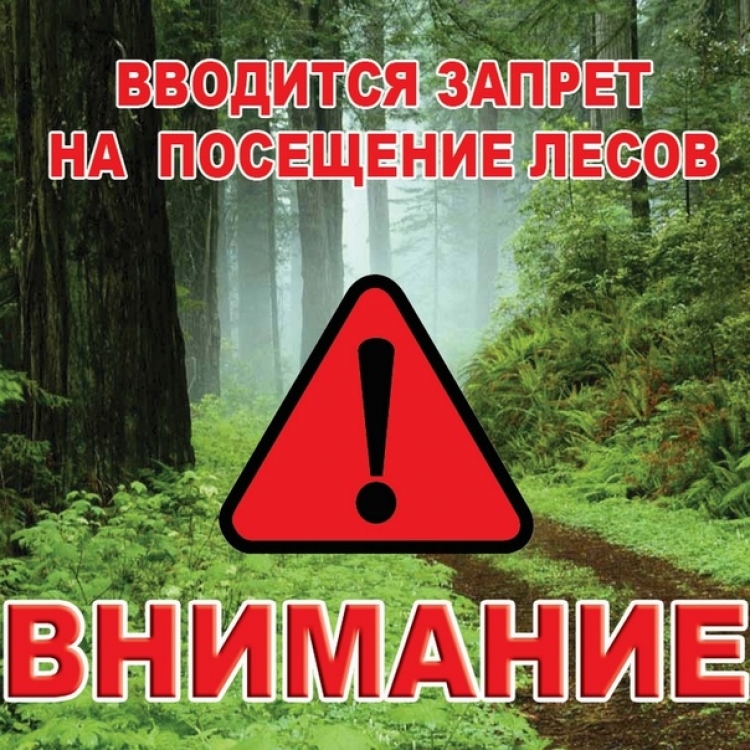 В Гомельском районе введен запрет на посещение лесов