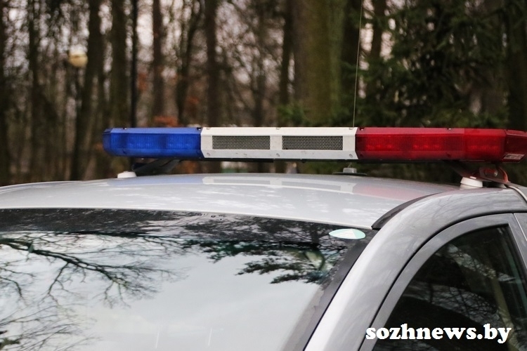 С 16 по 17 июня будет проводиться отработка автомобильной дороги М-10 «Гомель – Кобрин – гр. РФ»