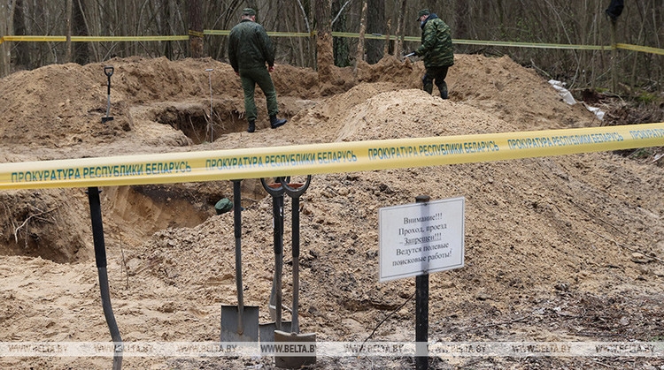 Останки не менее 30 человек обнаружили за три дня раскопок в Ченковском лесу под Гомелем