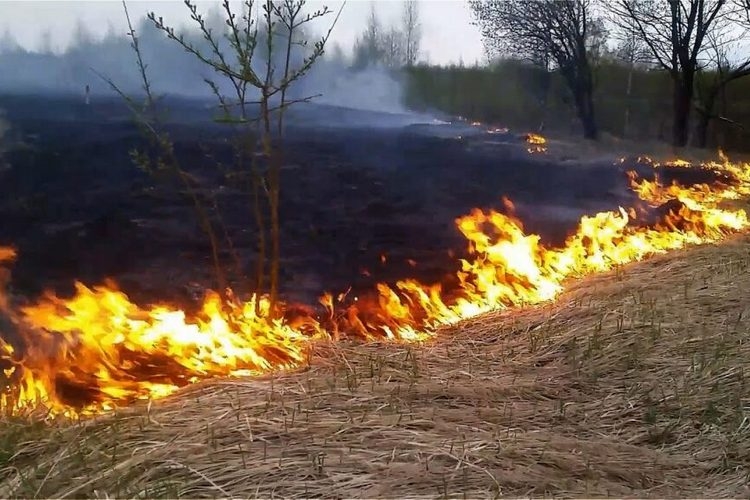 Сотрудники Гомельского РОЧС напоминают о недопустимости самовольного сжигания сухой растительности