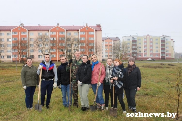 В Чёнках в День благоустройства молодые депутаты и активисты профсоюзного движения посадили аллею молодых деревьев