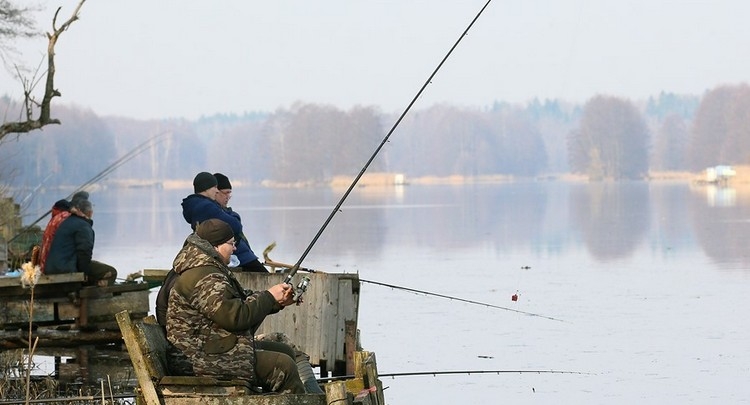 В Беларуси с 1 ноября вводится запрет на ловлю сома и сига: узнали детали