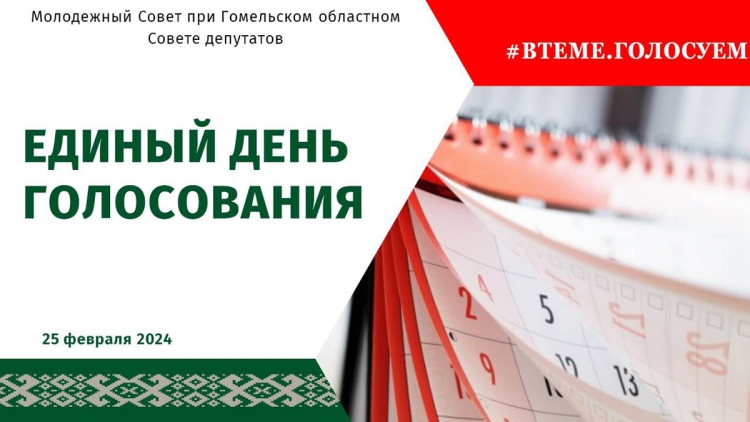 В Гомельском районе стартовали серии встреч в рамках проекта «#ВТЕМЕ. Голосуем»