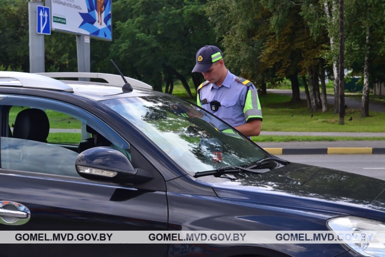 Сотрудники ГАИ проведут массированную отработку автодороги М-10