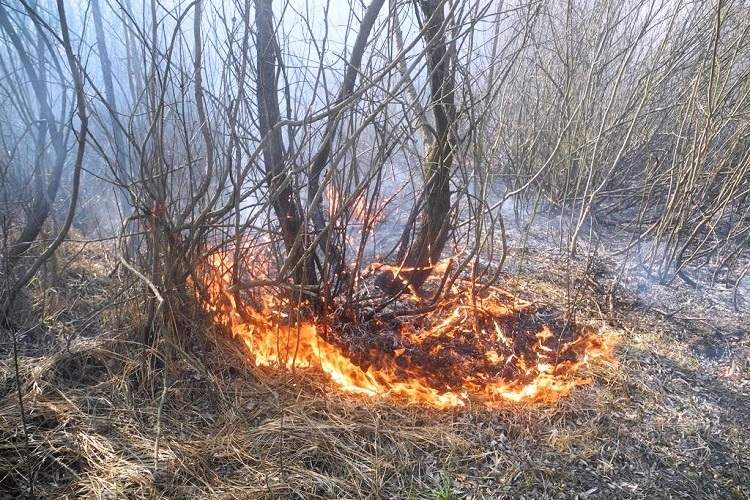 За прошедшие сутки в Гомельском районе произошло три пожара