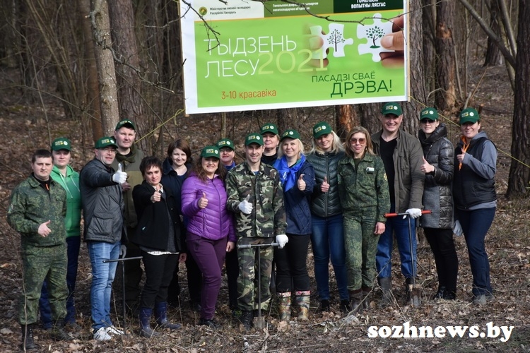 Пусть деревья будут большими: сотрудники райисполкома поддержали республиканскую акцию "Неделя леса"