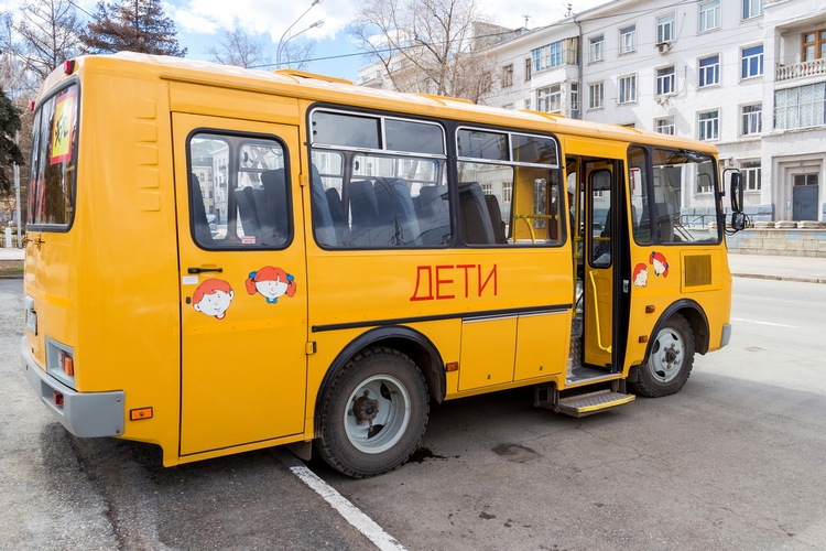 Плюсы и минусы школьного подвоза