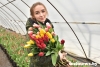 Дарите женщинам цветы: Гомельский опытный лесхоз вырастил к 8 марта более 12 оттенков тюльпанов