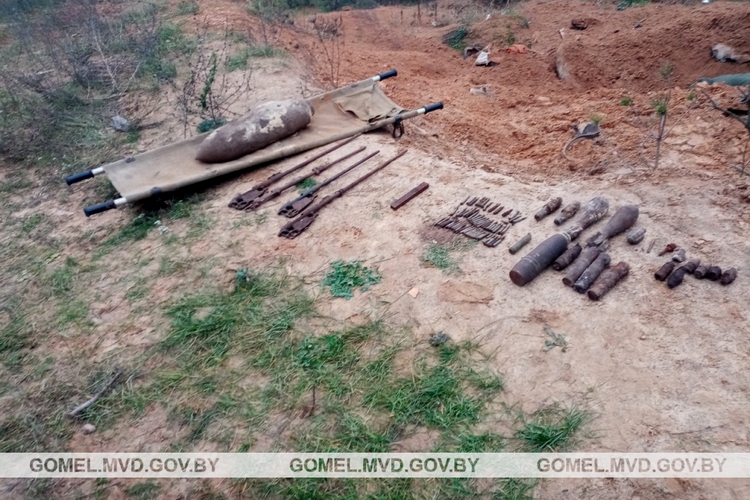 В Гомельском районе обнаружено и обезврежено 82 единицы боеприпасов времен ВОВ