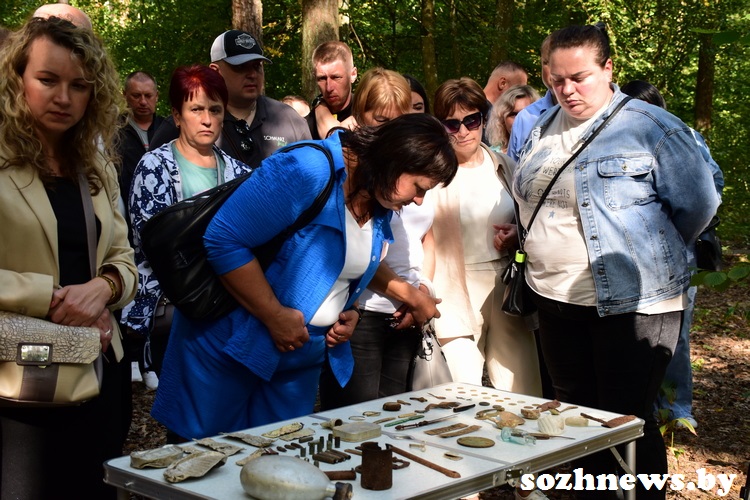 3d223d12ds12v (10).JPG