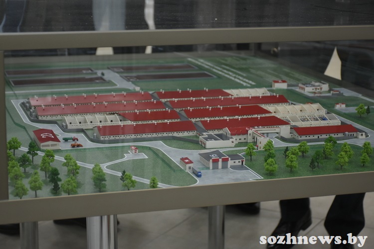 d6s5csdc4d584 (12).JPG