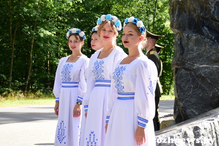 3d223d12ds12v (2).JPG