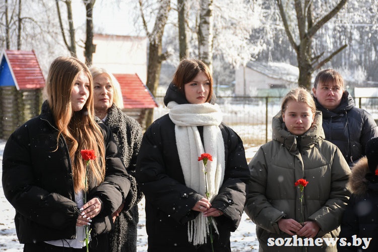 4d84f8ef8aef7a (14).jpg