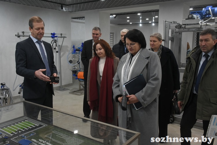 d6s5csdc4d584 (6).JPG