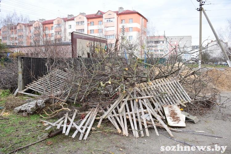 5sdf45df45sd4 (17).JPG 5sdf45df45sd4 (17).JPG