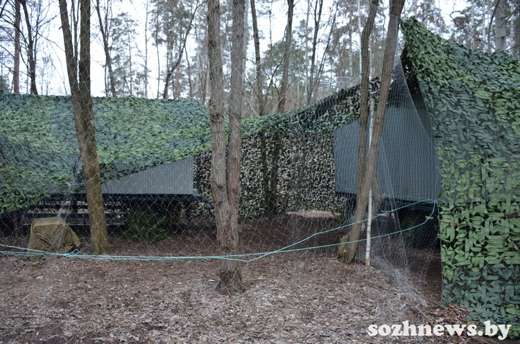 d4v54s5fvc4d5 (12).JPG