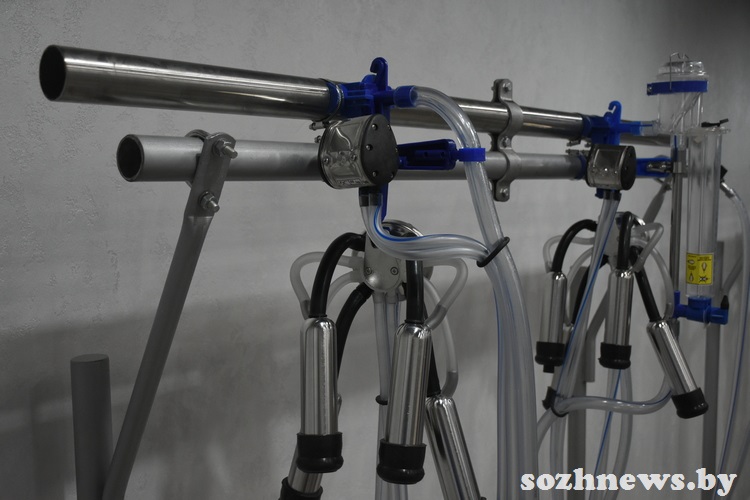 d6s5csdc4d584 (5).JPG