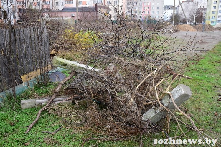5sdf45df45sd4 (14).JPG 5sdf45df45sd4 (14).JPG