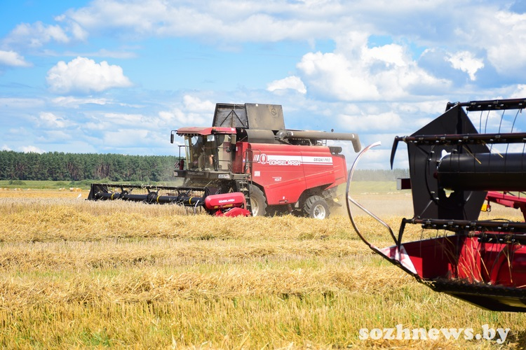 Иллюстративное фото из архива