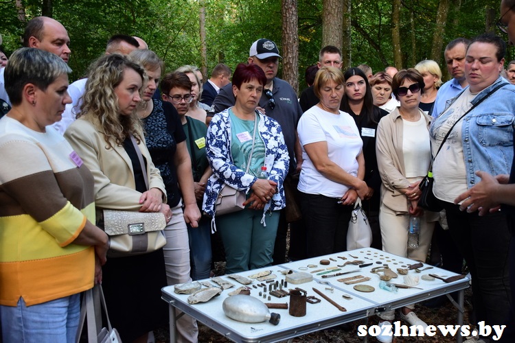 3d223d12ds12v (11).JPG