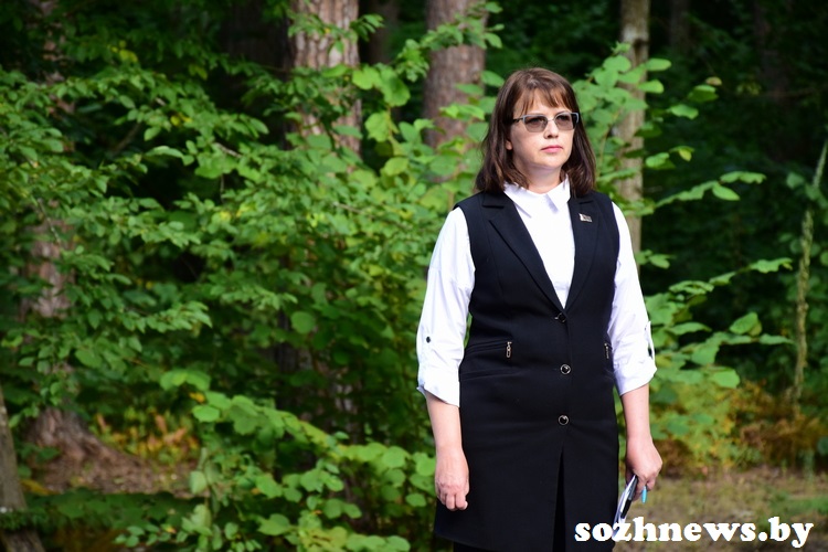 3d223d12ds12v (4).JPG