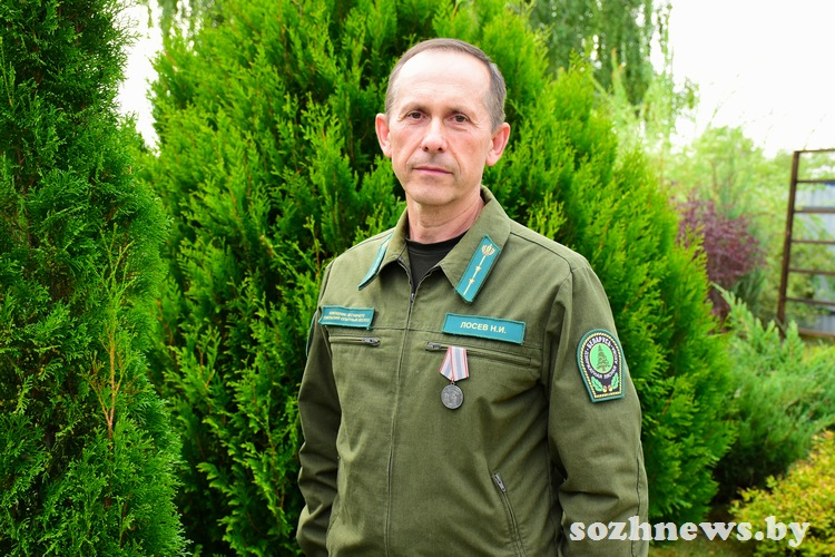 Николай Лосев