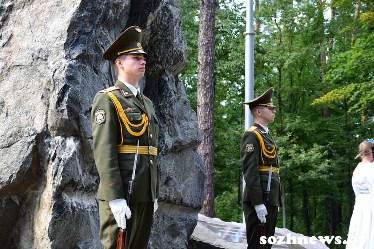 3d223d12ds12v (1).JPG