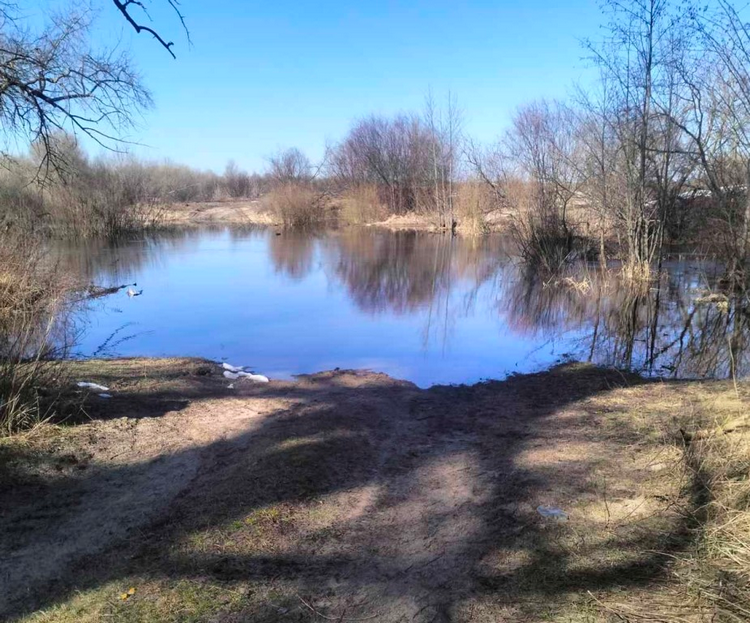 На фото подтопленный грунтовый проселочный участок дороги в Гомельском районе