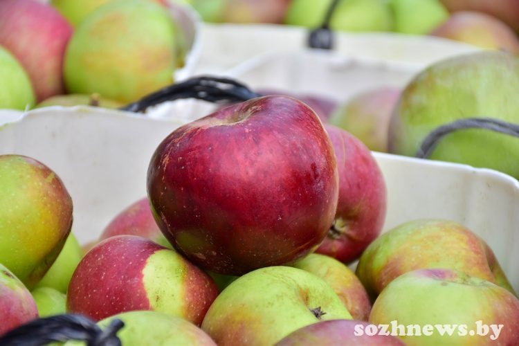 Фото из архива