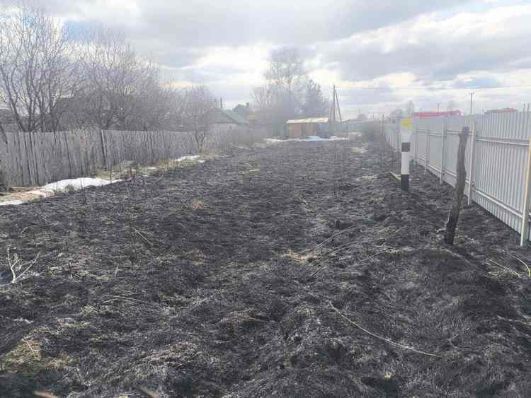 Пожар травы и кустарников в аг. Бобовичи