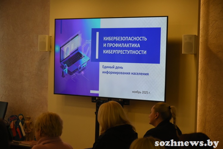 d6s5csdc4d584 (17).JPG