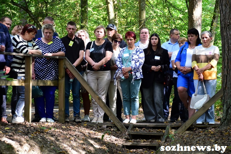 3d223d12ds12v (6).JPG