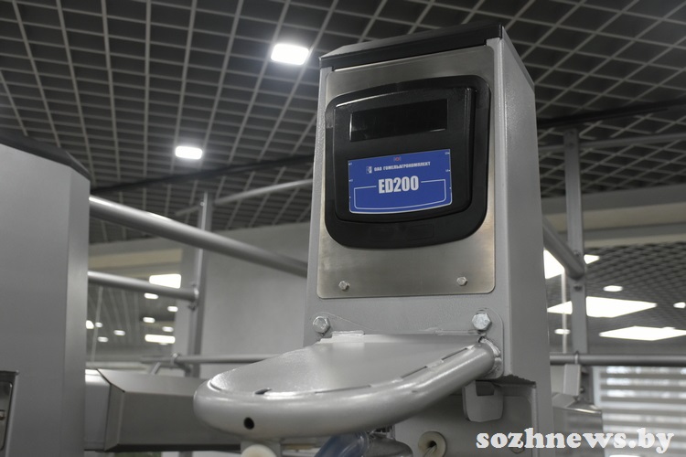 d6s5csdc4d584 (8).JPG