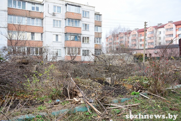 5sdf45df45sd4 (15).JPG 5sdf45df45sd4 (15).JPG