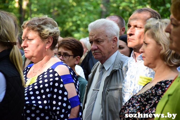 3d223d12ds12v (5).JPG