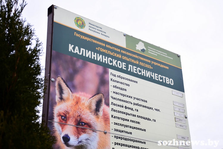 f8dgfd8g7fd8g78df (1).jpg