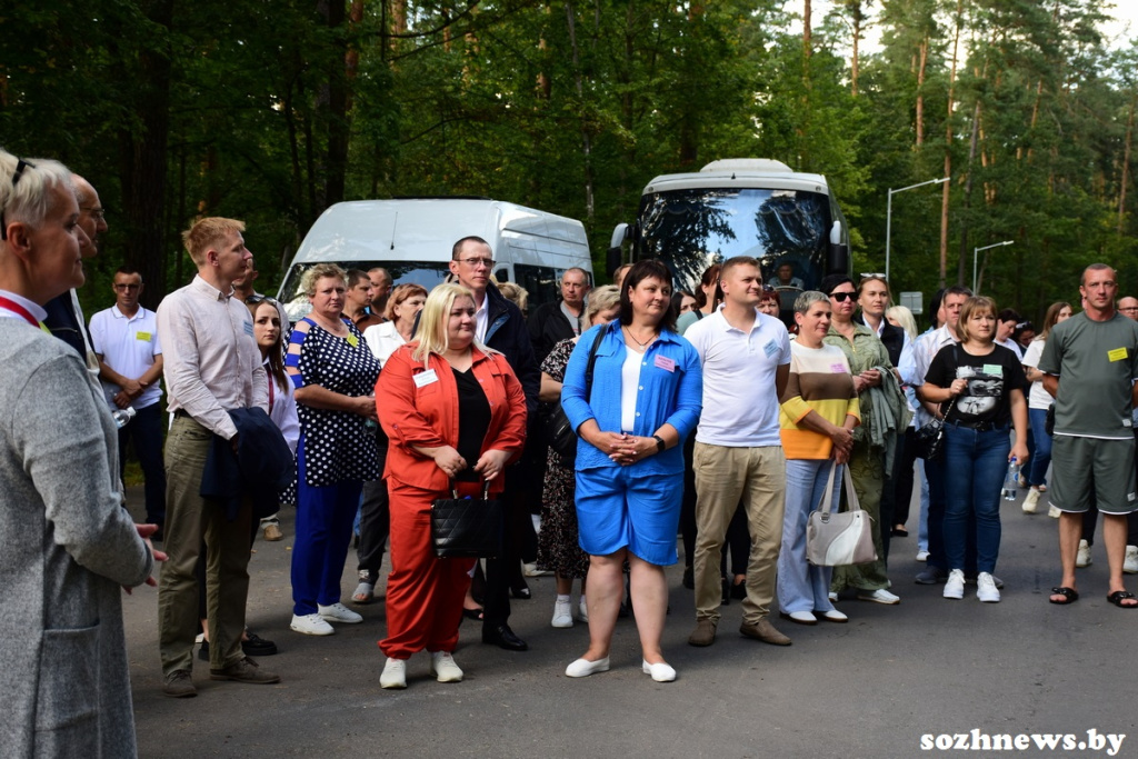 3d223d12ds12v (3).JPG